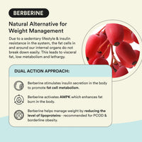 Bloom Berberine + L-Carnitine Effervescent Tablets | 60 Effervescent Tablets (Pack of 3) | Natural Formula for Weight Management | Turns Fat into Active Energy | Strawberry Flavour