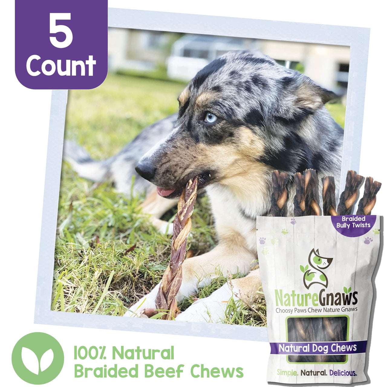 Nature Gnaws - Braided Twists for Dogs - Premium Natural Beef Dog Chew Treats - Combo of Bully Sticks and Beef Gullet - Long Lasting Training Reward 5 Count (Pack of 1)