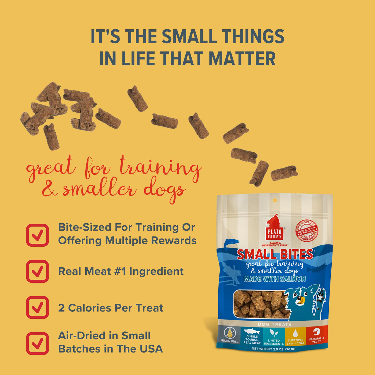 PLATO Small Bites Dog Treats, Natural Bite Sized Real Meat & Salmon Flavor, Grain Free & High in Protein, Air Dried Authentic Ingredients, 2 Calories Per Treat, Made in the USA, 6 Ounces 6 Ounce (Pack of 1)