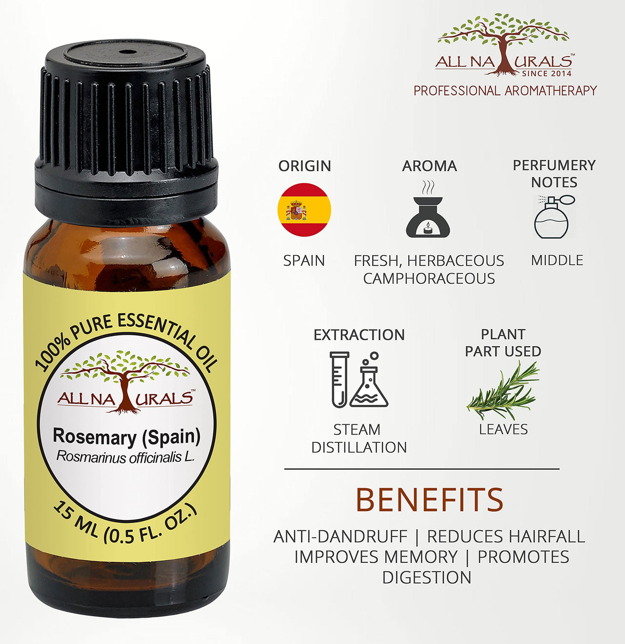 All Naturals Rosemary Essential Oil (Spain) 100% Pure for Skin, Hair, Dandruff, Memory, Focus & Aroma - 15 mL