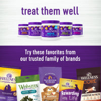 Wellness Tasty Cheese Flavored Soft Chews Calming Supplements for Dogs, 90 Count