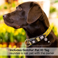 Max & Molly Soft Padded Neoprene Dog Collar w/Smart ID Gotcha! QR Pet Safety Tag, Durable, Waterproof, Anti-Stink, Machine Washable Collar for Dogs, Monkeys Pattern, L
