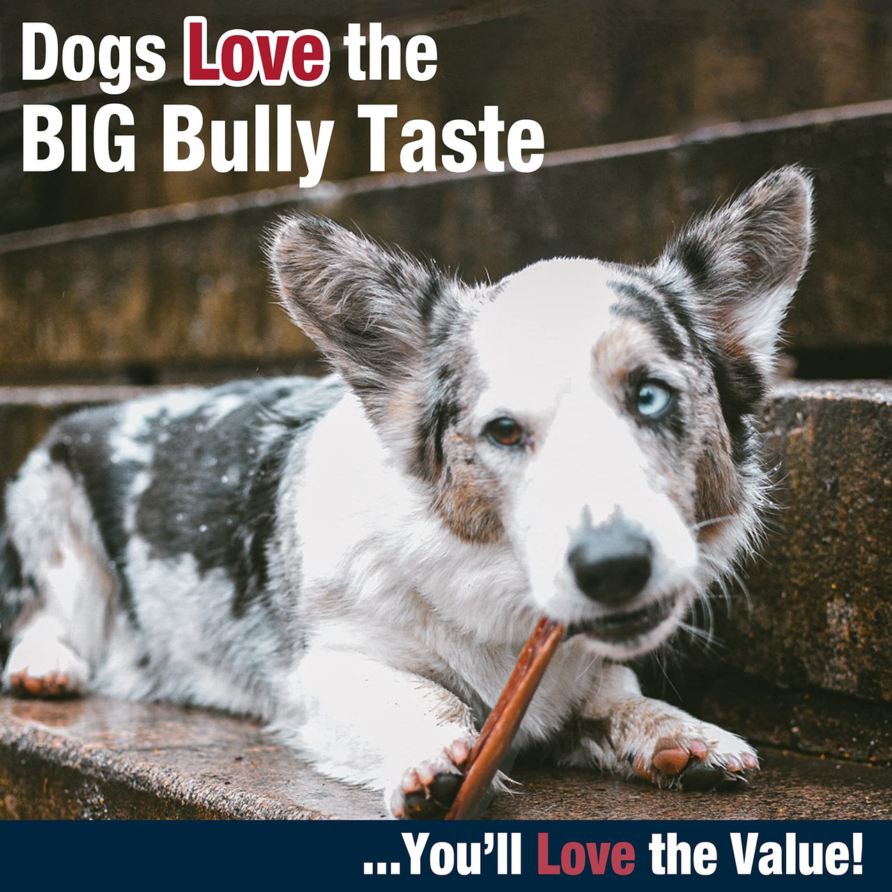 Cadet Bully Hide Sticks for Small, Medium and Large Dogs – All-Natural Beef Pizzle, High Protein, Low Fat, Long-Lasting, Grain & Rawhide-Free Dog Chews for Aggressive Chewers, Small (9 Count) Small (9 Pack)