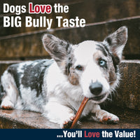 Cadet Bully Hide Sticks for Small, Medium and Large Dogs – All-Natural Beef Pizzle, High Protein, Low Fat, Long-Lasting, Grain & Rawhide-Free Dog Chews for Aggressive Chewers, Small (9 Count) Small (9 Pack)