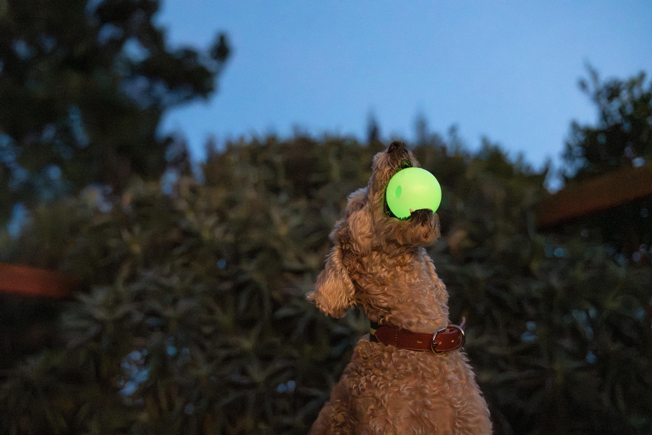 Harry Barker Rubber Balls and Rubber Chew Stick, Rubber Bone for Dogs - 2.5" Glow Balls