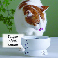 Necoichi Raised Cat Water Bowl, Elevated, with Measurement Lines, Dishwasher and Microwave Safe, No.1 Seller in Japan! (Cat, Regular)