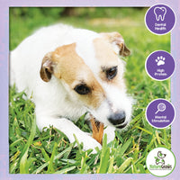 Nature Gnaws Braided Gnaws for Dogs - Premium Natural Beef Dog Chew Treats - Combo of Bully Sticks, Gullet Jerky and Tripe Twists - Rawhide Free 12 Count (Pack of 1)