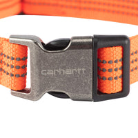 Carhartt Dog Collar Hunter Orange/Brushed Nickel Medium