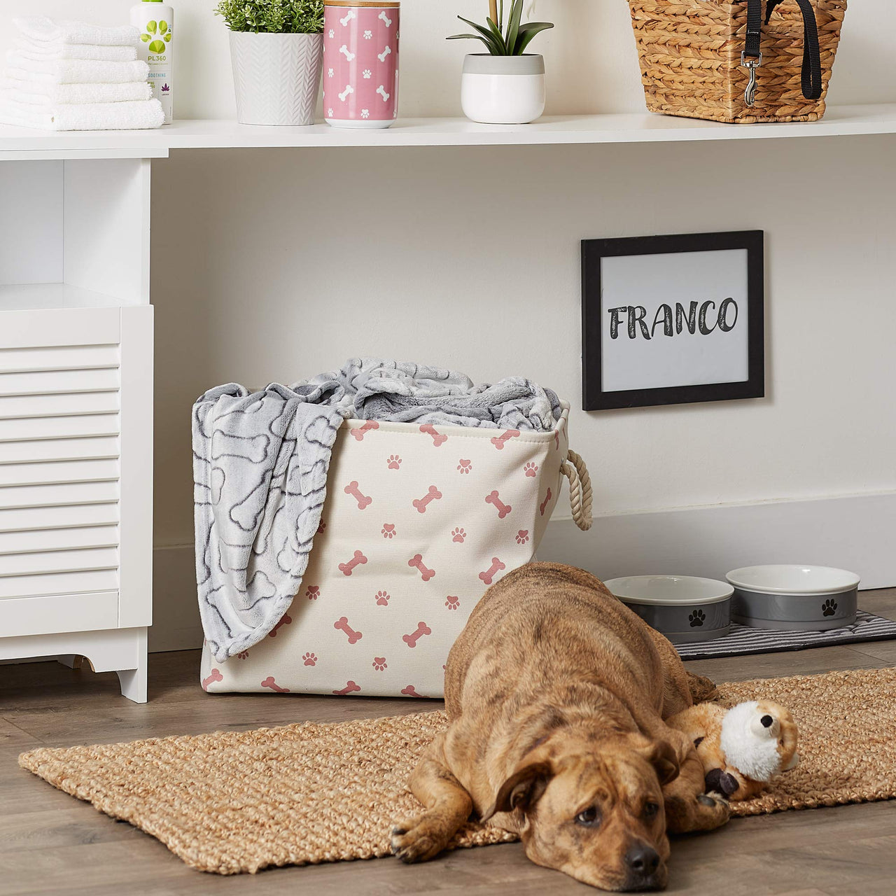 Bone Dry Pet Storage Collection Paw and Bone Print, Large Rectangle, 17.5x12x15", Rose