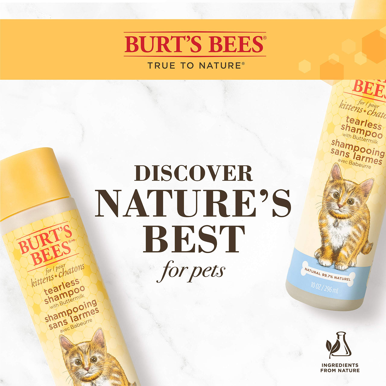 Burt's  Bees for Pets Kitten Natural Tearless Shampoo with Buttermilk | Cat Shampoo for All Cats & Kittens | Cruelty Free, Sulfate & Paraben Free, pH Balanced for Dogs - Made in USA, 10 oz - 2 Pack