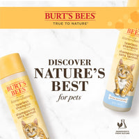Burt's  Bees for Pets Kitten Natural Tearless Shampoo with Buttermilk | Cat Shampoo for All Cats & Kittens | Cruelty Free, Sulfate & Paraben Free, pH Balanced for Dogs - Made in USA, 10 oz - 2 Pack