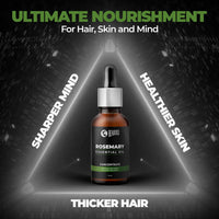 Beardo Rosemary Essential Oil, 15 ml | Rosemary Oil for Hair Growth, Hair fall and Regrowth | Hair & Skin Nourishment | 100% Natural | Aroma Oil