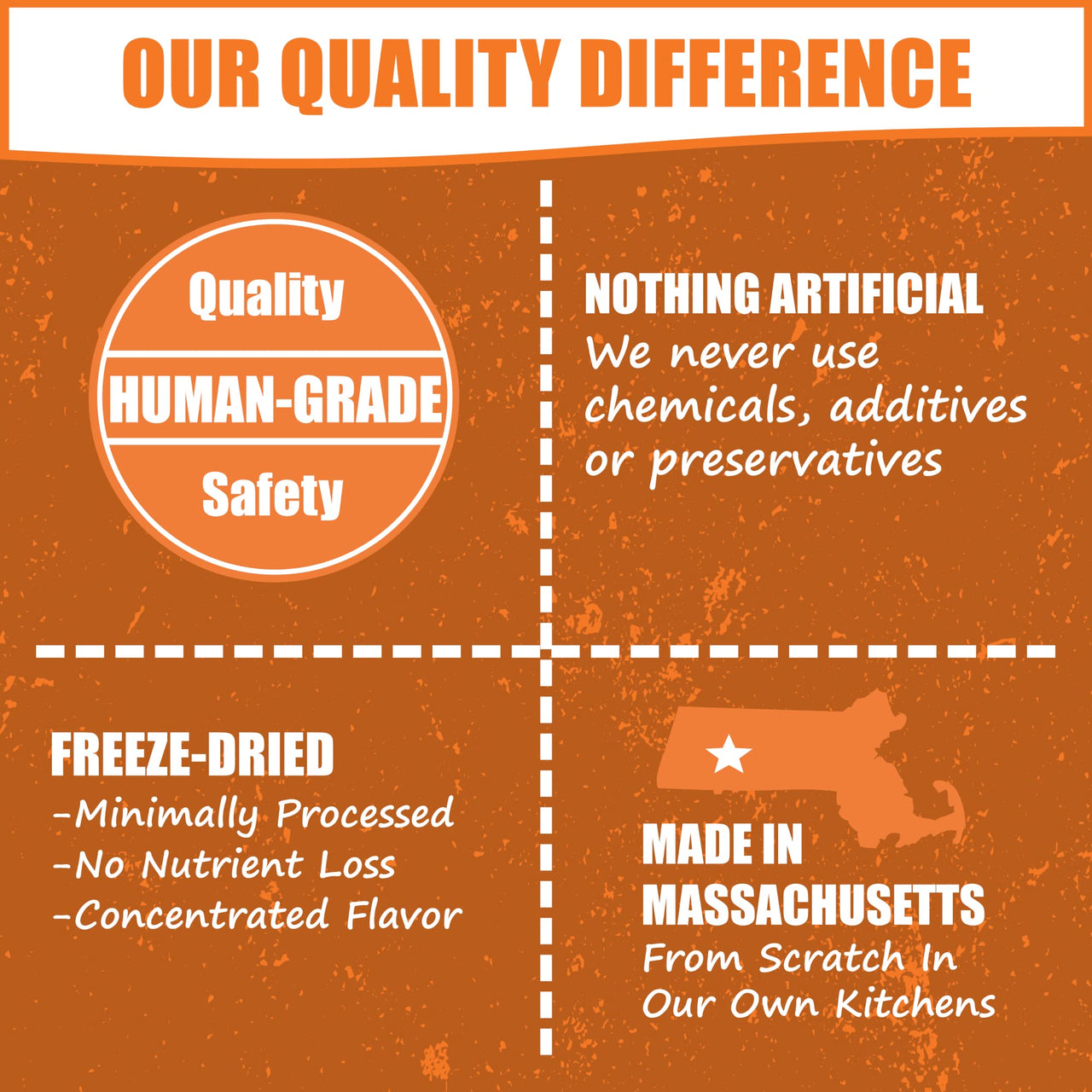 Whole Life Pet Human Grade Probiotic Dog Treats - Pumpkin & Yogurt – Easy Digestion, Firmer Stool, Sensitive Stomachs - Made in The USA 12oz