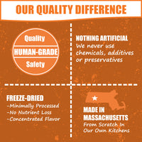 Whole Life Pet Human Grade Probiotic Dog Treats - Pumpkin & Yogurt – Easy Digestion, Firmer Stool, Sensitive Stomachs - Made in The USA 12oz