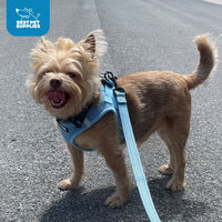 Voyager Step-in Air All Weather Mesh Harness and Reflective Dog 5 ft Leash Combo with Neoprene Handle, for Small, Medium and Large Breed Puppies by Best Pet Supplies - Blue/Black Trim, Small Harness Leash Bundle (Blue/Black Trim) S (Chest: 14.5 - 16