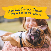 Natural Balance Limited Ingredient Rewards Crunchy Biscuits, Grain-Free Dog Treats for Adult Dogs of All Breeds, Duck Recipe, 14 Ounce (Pack of 1) 14 Ounce (Pack of 1)