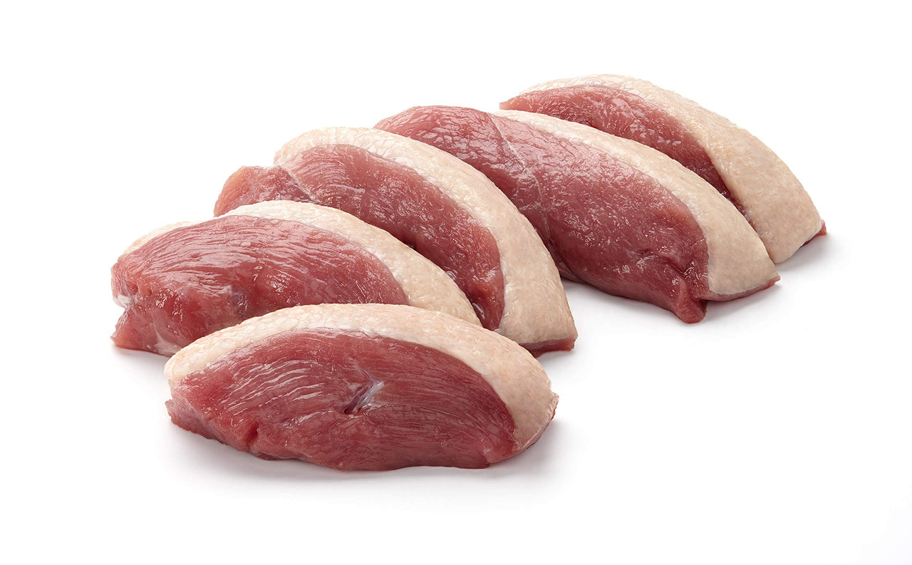 PLATO Thinkers Duck 18oz, Natural (850002221572) 1.13 Pound (Pack of 1)