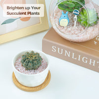 T4U Tumbled Chips Stones Crushed Crystal Quartz 1 LB, Irregular Shaped Gravel Pebble Healing Stone, DIY Smoothed Rocks for Potted Plant,Resin Art,Vase Fillers Aquarium Gravel Rocks (Light Rose) #2 - Rose