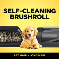 Shark IZ631H Cordless Pro Vacuum with PowerFins and Self-Cleaning Brushroll, Includes Upholstery Tool & Crevice Tool, Up To 60 Minute Runtime, HEPA Filtration, Cordless Vacuum, Dark Grey/Mojito Gray