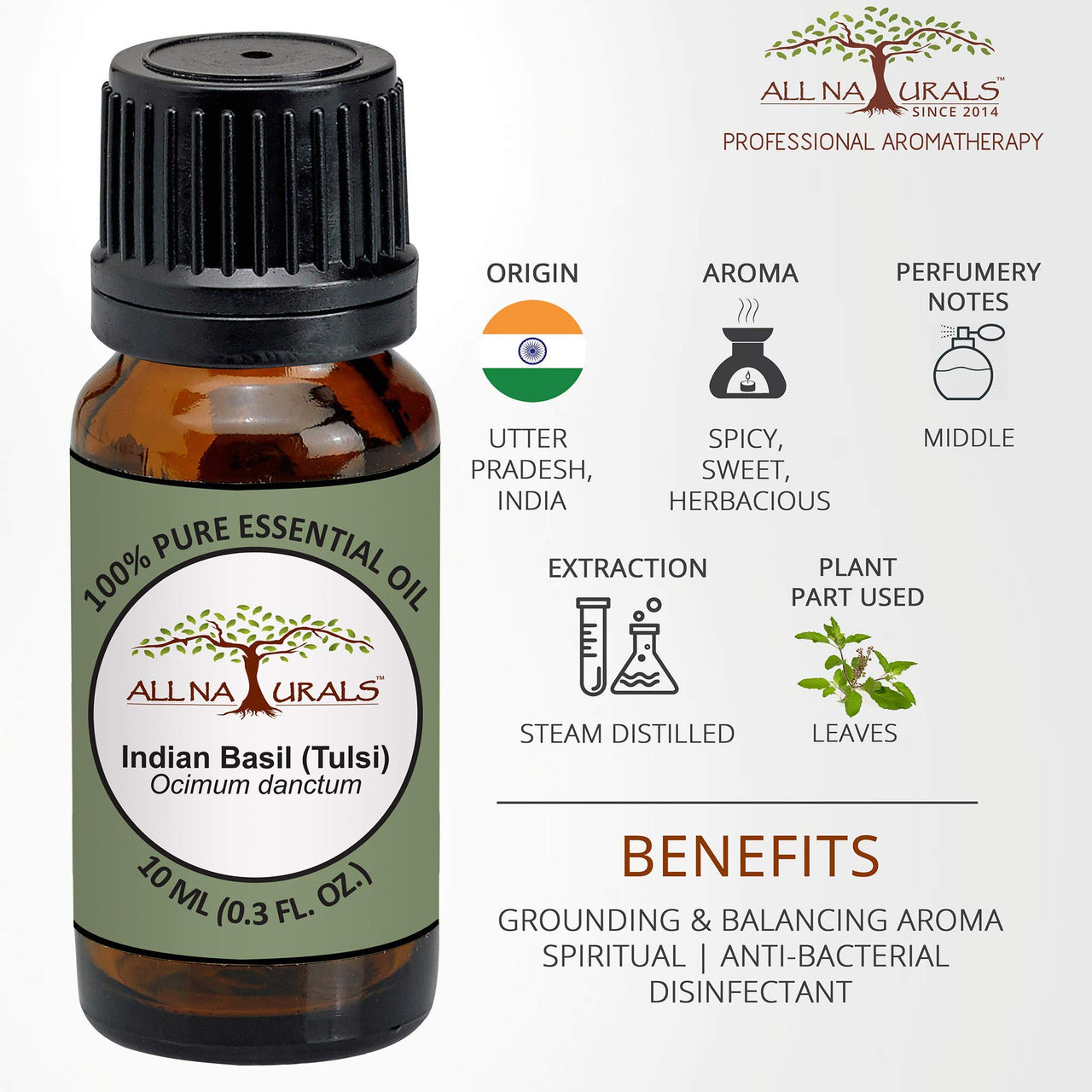 All Naturals - Tulsi Essential Oil (15 Ml)|Versatile Essential Oil For Home Fragrance|Pure & Natural|Tulsi Oil For Spirituality & Focus|Disinfection,Insect-Repellent,Anti-Fungal|Essential Oil For Skin