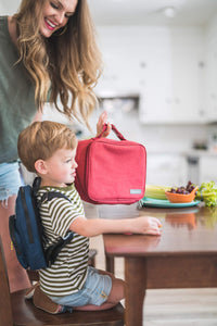 Simple Modern Kids Lunch Box for Toddler | Reusable Insulated Bag for Boys | Meal Containers for School with Exterior and Interior Pockets | Hadley Collection | Shark Bite Hadley Lunch Box -Shark Bite