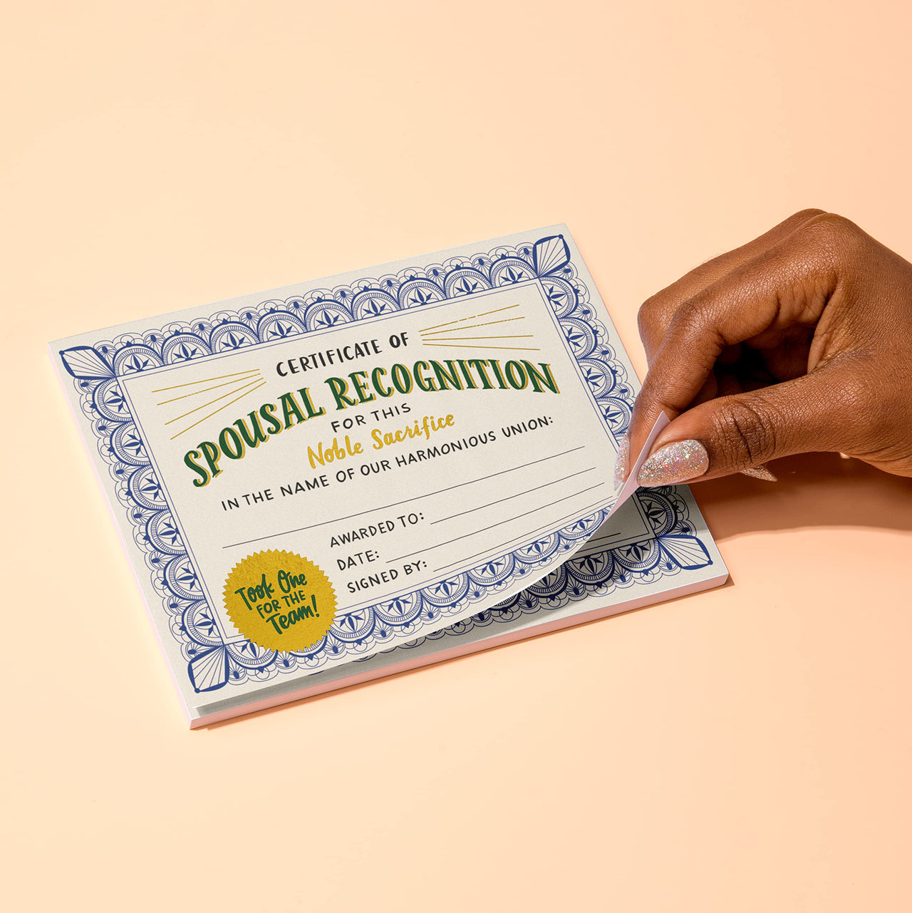 Em & Friends Spouse Recognition Wife/Husband Award Paper Certificate Note Pad & Funny Trophy Pad, 5.15 x 7-inches 5.15" x 7" Spouse Appreciation (Gold Foil)