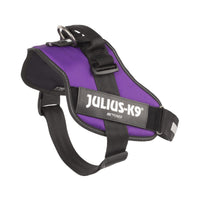 Julius-K9 IDC Powerharness, Size: 2XL/3, Dark Purple