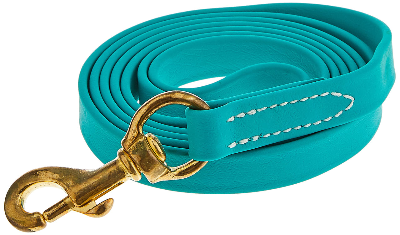 J&J Dog Supplies Biothane Dog Leash, 3/4" Wide by 6' Long, Teal