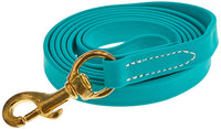 J&J Dog Supplies Biothane Dog Leash, 3/4