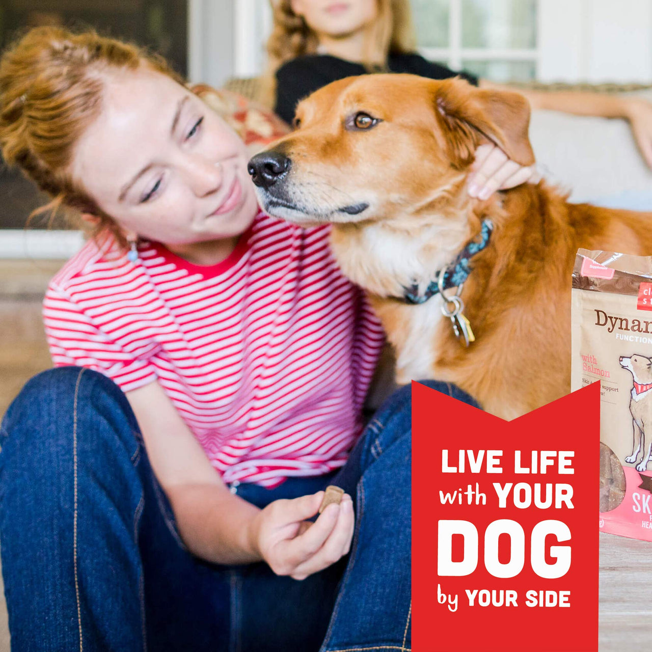 Cloud Star Dynamo Dog Skin & Coat Treats – Chewy Treat with Fish Oil for Shiny Coat (14 oz. Salmon) 14 Ounce (Pack of 1)