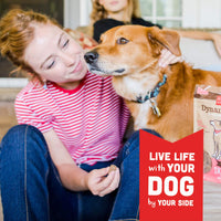 Cloud Star Dynamo Dog Skin & Coat Treats – Chewy Treat with Fish Oil for Shiny Coat (14 oz. Salmon) 14 Ounce (Pack of 1)