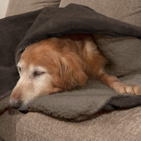 Furhaven Waterproof & Self-Warming Throw Blanket for Dogs & Indoor Cats, Washable & Reflects Body Heat - Terry & Sherpa Dog Blanket - Espresso, Large