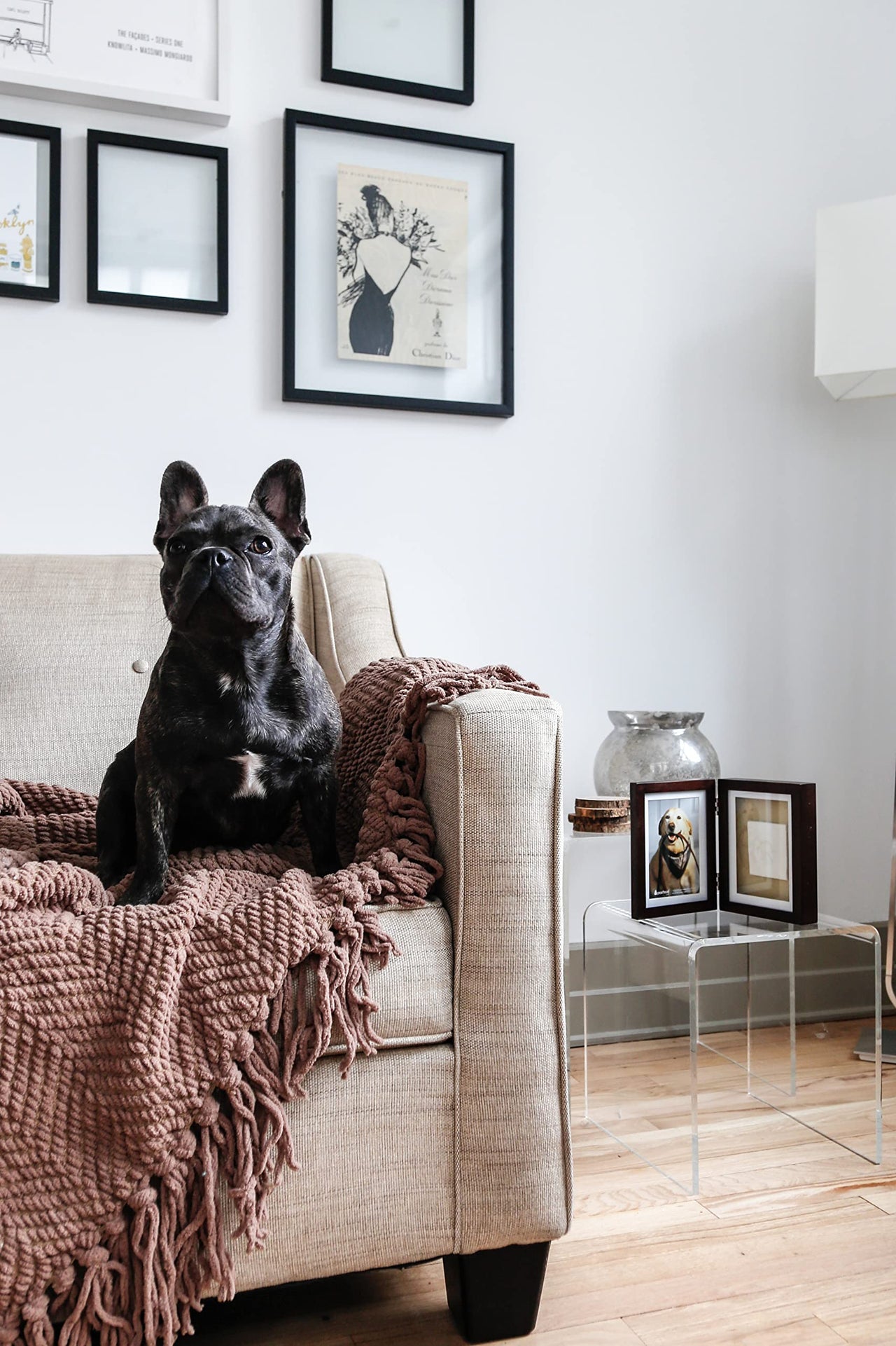 Pearhead Pet Paw Print Photo Frame With Clay Imprint Kit, Pawprint Making Kit, Cat Or Dog Memorial Keepsake Gift, Pet Home Dcor, Wooden Tabletop Picture Frame, Espresso