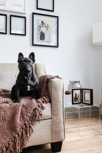 Pearhead Pet Paw Print Photo Frame With Clay Imprint Kit, Pawprint Making Kit, Cat Or Dog Memorial Keepsake Gift, Pet Home Dcor, Wooden Tabletop Picture Frame, Espresso