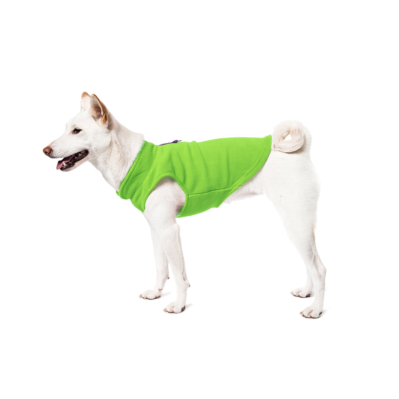 Gooby Fleece Vest Dog Sweater - Honey Mustard, Large - Warm Pullover Fleece Dog Jacket with O-Ring Leash - Winter Small Dog Sweater Coat - Cold Weather Dog Clothes for Small Dogs Boy or Girl