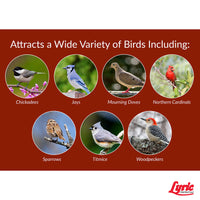 Lyric Golden Safflower Seed - Attracts Cardinals, Chickadees, Woodpeckers & More - 12 lb Bag 12 Pound (Pack of 1)