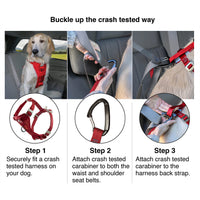 Kurgo Dog Harness | Car Harness for Dogs | Medium | Black | Pet Safety Seat Belt | Certified Crash Tested Harness | Car Seatbelt | Tru-Fit Enhanced Strength Style
