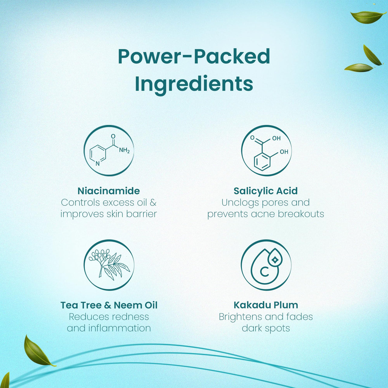 SEBUM 10% Niacinamide Serum with Salicylic Acid for Oily & Acne-Prone Skin | Controls Oil, Clears Acne & Blemishes | Lightweight, Fast-Absorbing | Dermatologically Tested | Men & Women | 30ml