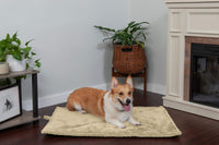 Furhaven ThermaNAP Self-Warming Cat Bed for Indoor Cats & Small Dogs, Washable & Reflects Body Heat - Quilted Faux Fur Reflective Bed Mat - Cream, Small