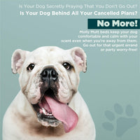 Molly Mutt Medium to Large Dog Bed Cover - Rocketman Print - Measures 27x36x5 - 100% Cotton - Durable - Breathable - Sustainable - Machine Washable Dog Bed Cover