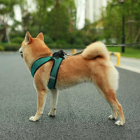 Voyager Step-in Air Dog Harness - All Weather Mesh Step in Vest Harness for Small and Medium Dogs and Cats by Best Pet Supplies - Harness (Turquoise 2-Tone), XL (Chest: 20.5-23