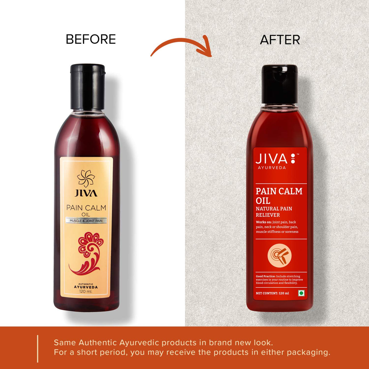 Jiva Pain Calm Oil 120ml With Free Jatyadi Oil 20 ml | 100% Ayurvedic Formula | Blend Of 5 Ayurvedic Oils | Relieves Muscle & Joint Pain | Controls Swelling & Joint Inflammation (Pack of 3)