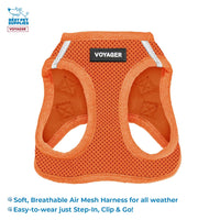 Voyager Step-in Air All Weather Mesh Harness and Reflective Dog 5 ft Leash Combo with Neoprene Handle, for Small, Medium and Large Breed Puppies by Best Pet Supplies - Harness Leash Set (Orange), M