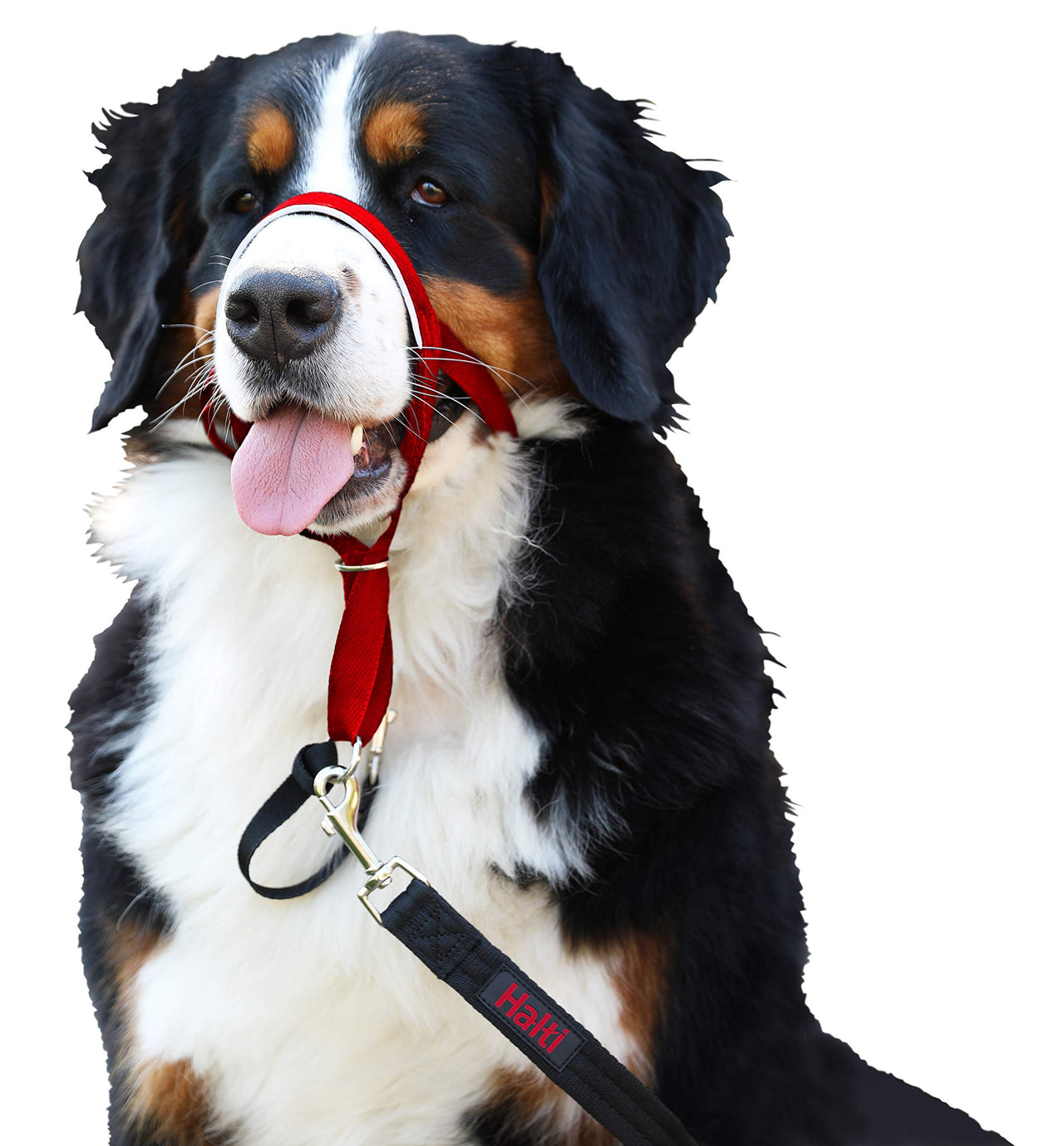 HALTI Headcollar - to Stop Your Dog Pulling on The Leash. Adjustable, Reflective and Lightweight, with Padded Nose Band. Dog Training Anti-Pull Collar for Large Dogs (Size 4, Red)