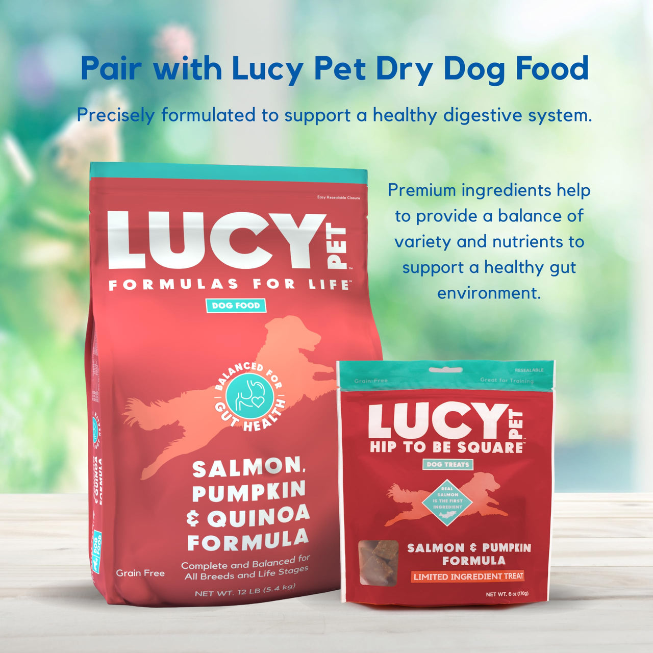 Lucy Pet Hip To Be Square Salmon And Pumpkin Dog Treats 6Oz 6 Ounce (Pack of 1)
