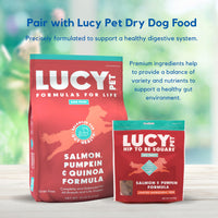Lucy Pet Hip To Be Square Salmon And Pumpkin Dog Treats 6Oz 6 Ounce (Pack of 1)