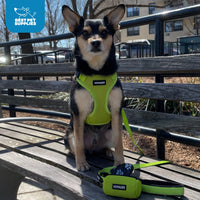 Voyager Step-in Lock Dog Harness w Reflective Dog Leash Combo Set with Neoprene Handle 5ft - Supports Small, Medium and Large Breed Puppies/Cats by Best Pet Supplies - Red/Black Trim, L