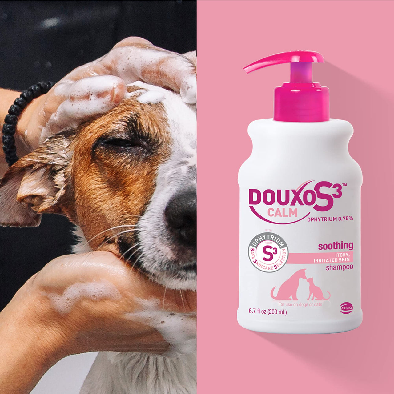 Douxo S3 Calm Shampoo 6.7 oz (200 mL) - For Dogs and Cats with Allergic, Itchy Skin