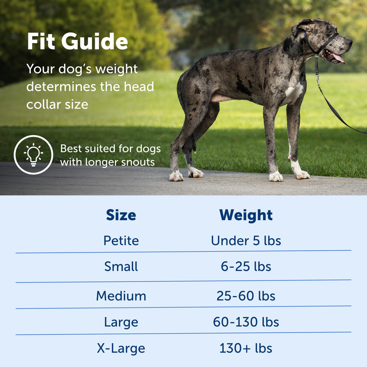 PetSafe Gentle Leader No-Pull Dog Headcollar - The Ultimate Solution to Pulling - Redirects Your Dog's  Pulling For Easier Walks - Helps You Regain Control - X-Large, Black