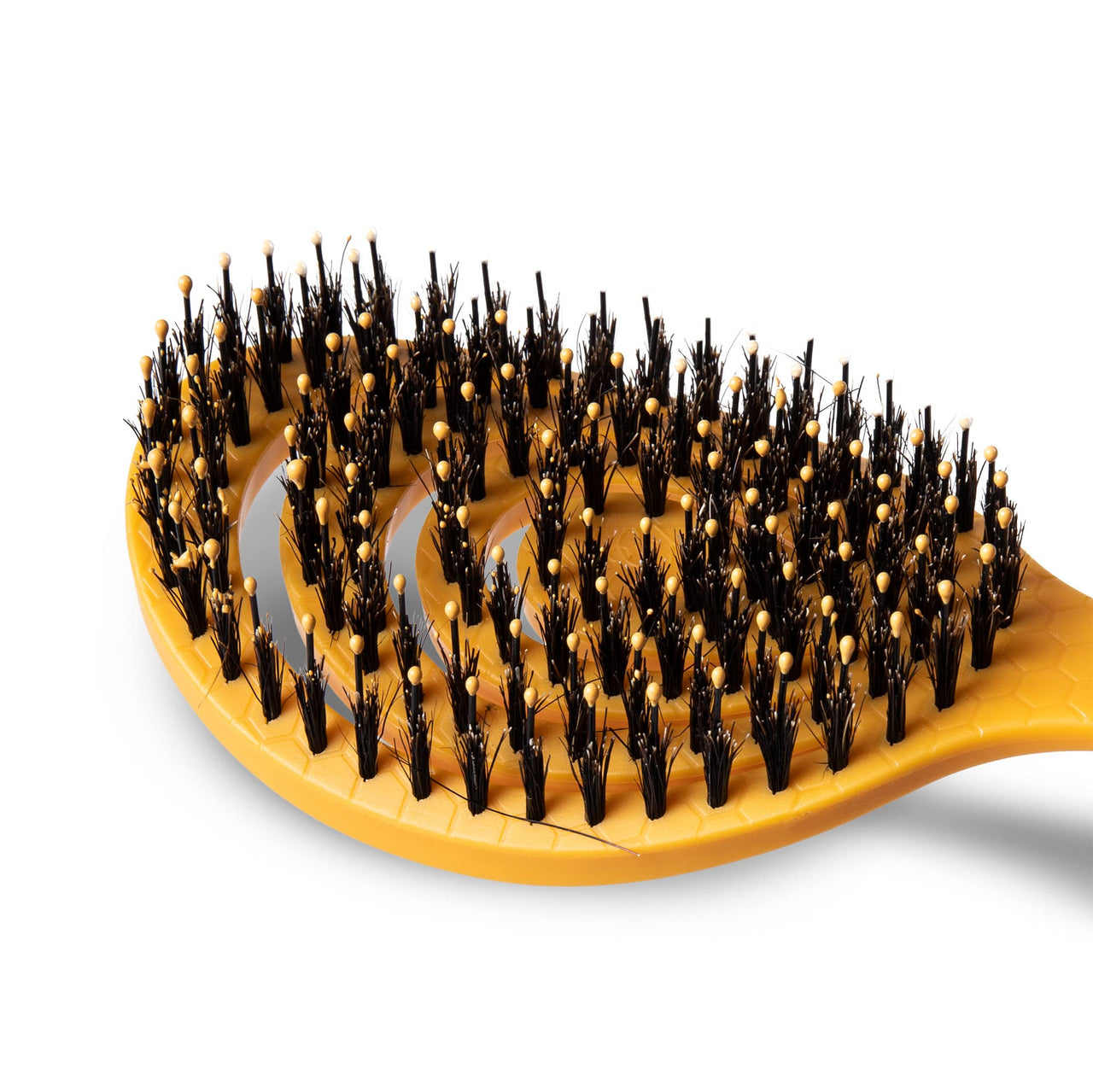 Burt’s Bees for Pets Porcupine Bristle Brush for Large Dogs with Handle Made from Recycled Plastics Collected from Coastal Communities | Large Flex-head Grooming Brush for Large Dogs Porcupine Bristle Plastic Brush 9 Inch